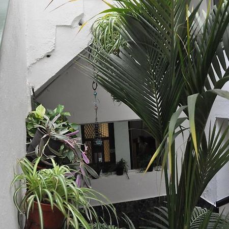 Falow Las Palmas de Gran Canaria Zewnętrze zdjęcie